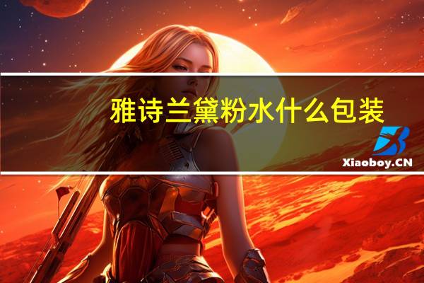 雅诗兰黛粉水什么包装