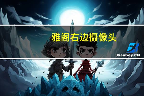 雅阁右边摄像头