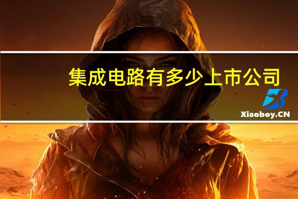 集成电路有多少上市公司