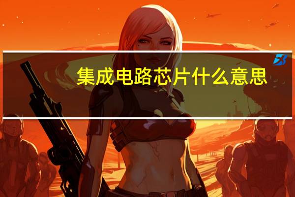 集成电路芯片什么意思