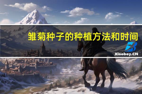 雏菊种子的种植方法和时间