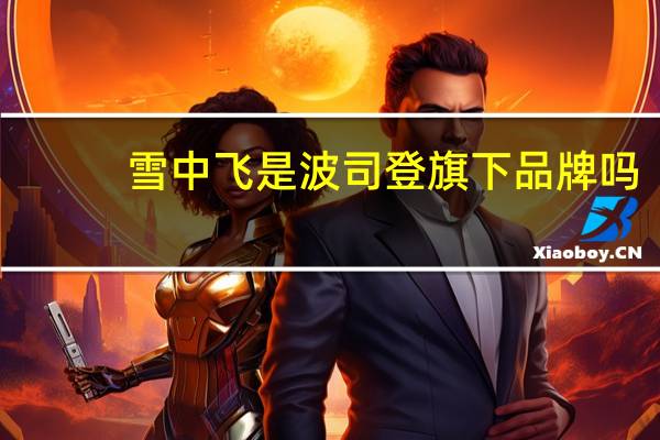 雪中飞是波司登旗下品牌吗