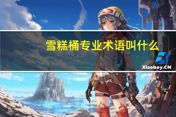 雪糕桶专业术语叫什么