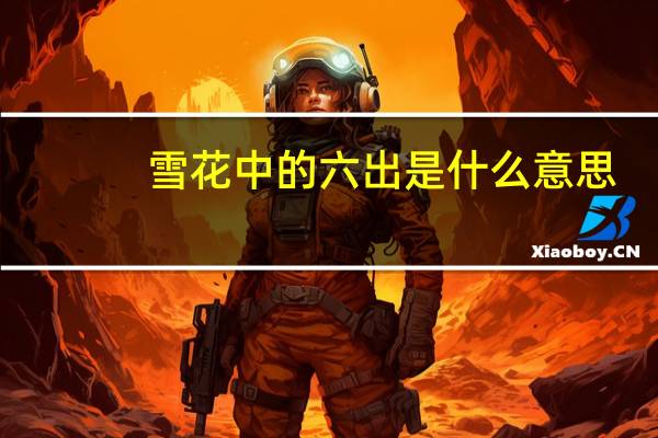 雪花中的六出是什么意思