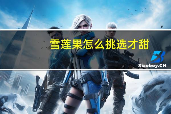 雪莲果怎么挑选才甜