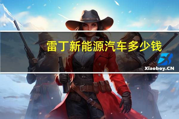 雷丁新能源汽车多少钱