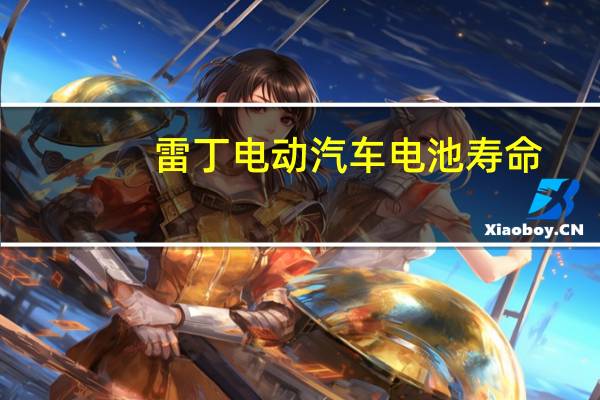雷丁电动汽车电池寿命