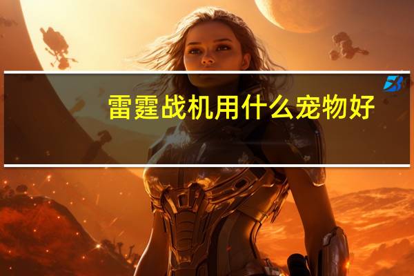 雷霆战机用什么宠物好