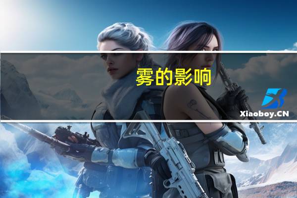 雾的影响