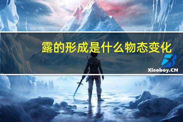 露的形成是什么物态变化