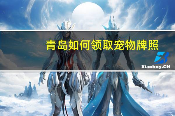青岛如何领取宠物牌照