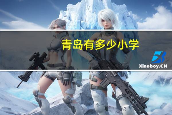 青岛有多少小学