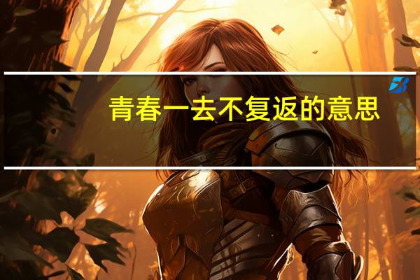 青春一去不复返的意思