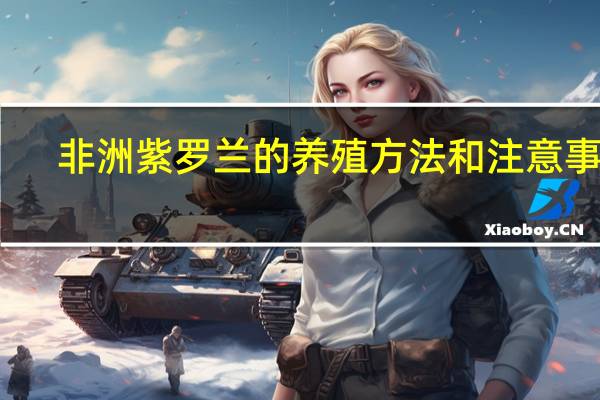非洲紫罗兰的养殖方法和注意事项