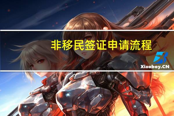 非移民签证申请流程