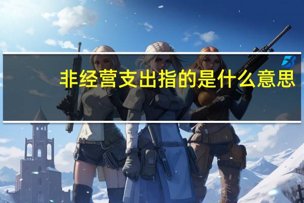 非经营支出指的是什么意思
