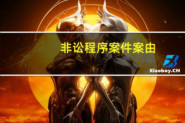 非讼程序案件案由