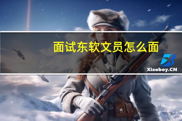 面试东软文员怎么面