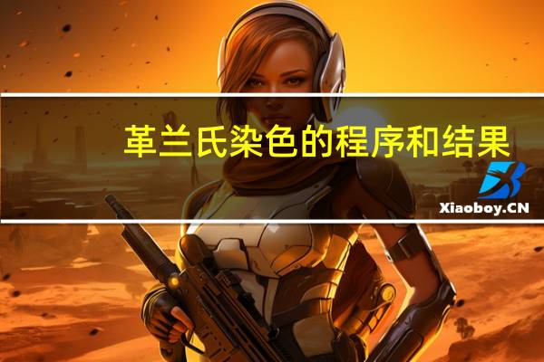 革兰氏染色的程序和结果