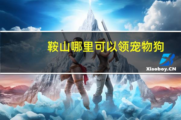 鞍山哪里可以领宠物狗