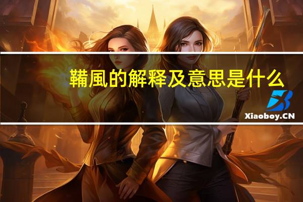 鞴風的解释及意思是什么