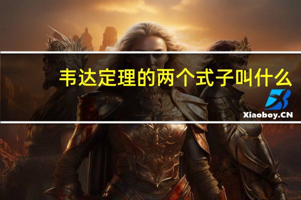 韦达定理的两个式子叫什么