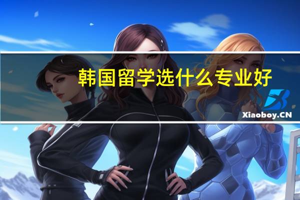 韩国留学选什么专业好