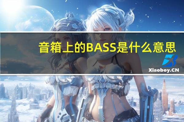音箱上的BASS是什么意思