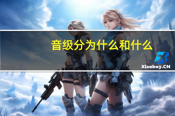 音级分为什么和什么