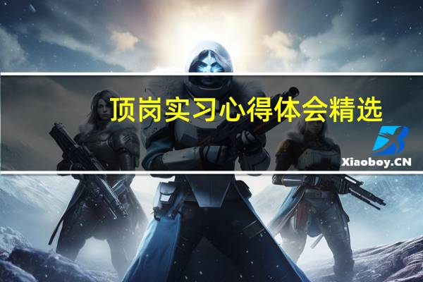 顶岗实习心得体会精选