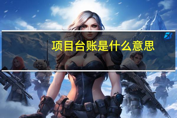 项目台账是什么意思