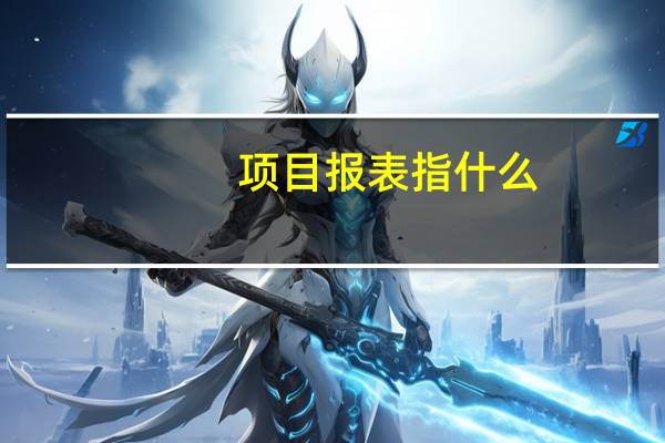 项目报表指什么