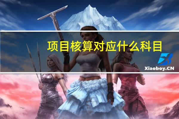 项目核算对应什么科目