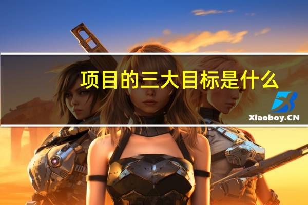 项目的三大目标是什么
