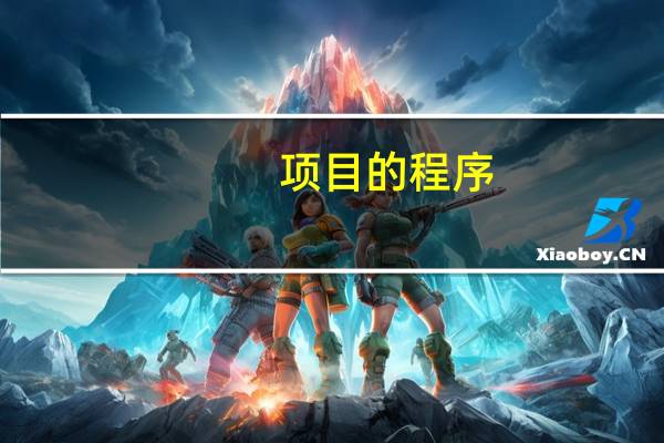 项目的程序
