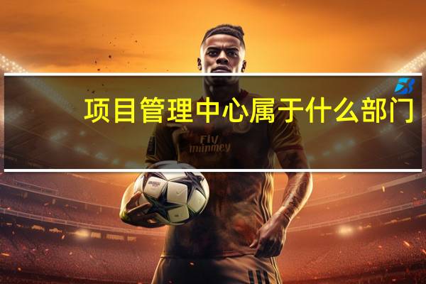 项目管理中心属于什么部门