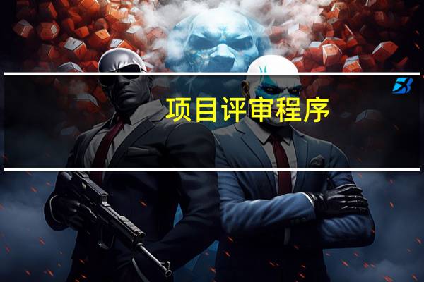 项目评审程序