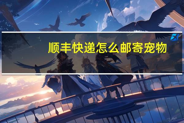 顺丰快递怎么邮寄宠物