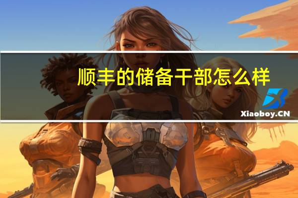 顺丰的储备干部怎么样