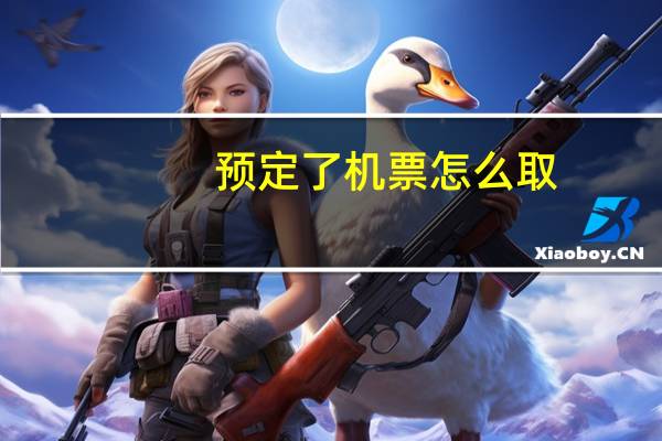 预定了机票怎么取