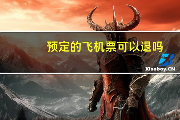 预定的飞机票可以退吗