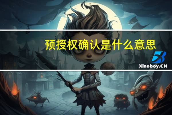 预授权确认是什么意思