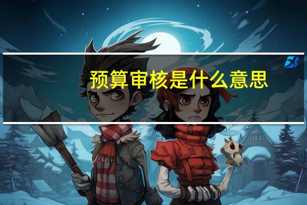预算审核是什么意思