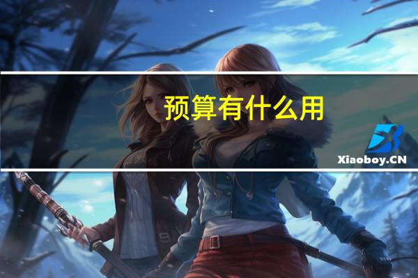 预算有什么用