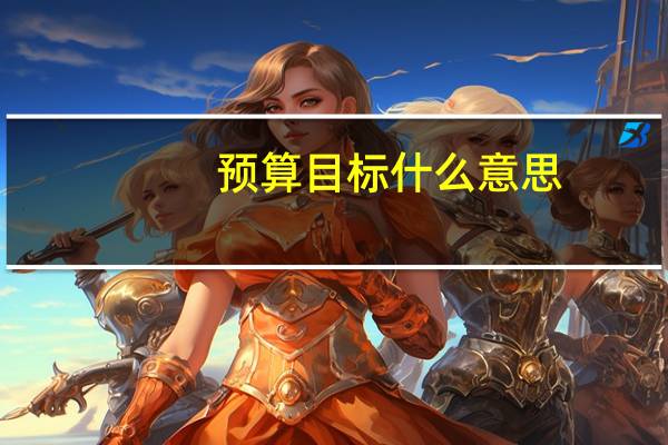 预算目标什么意思