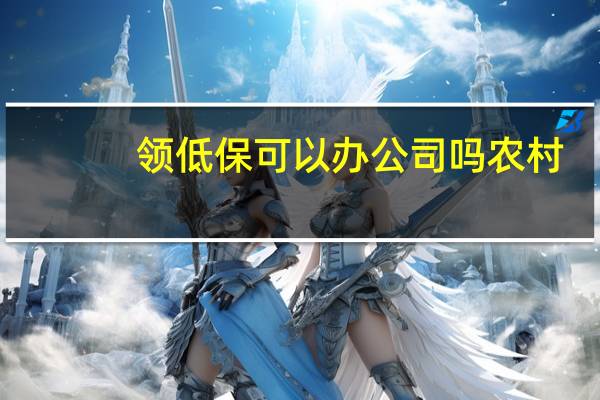 领低保可以办公司吗农村