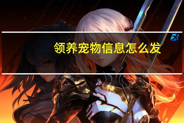领养宠物信息怎么发