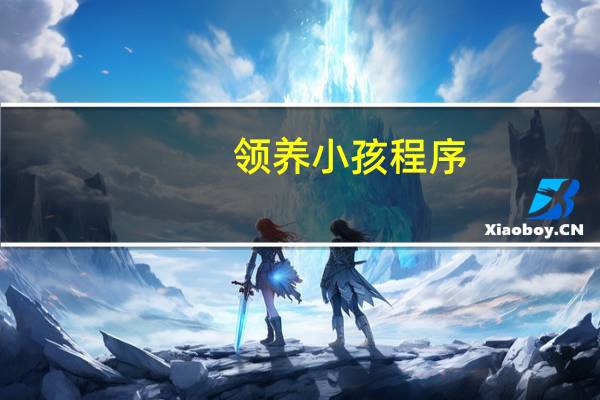 领养小孩程序