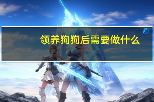 领养狗狗后需要做什么