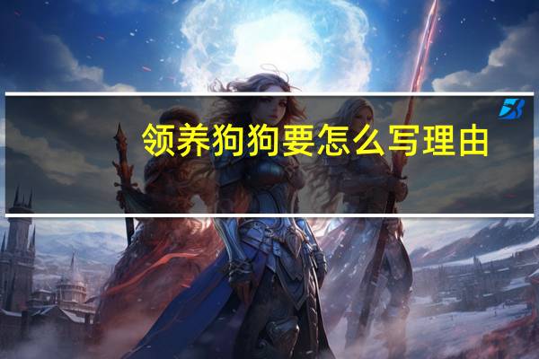 领养狗狗要怎么写理由